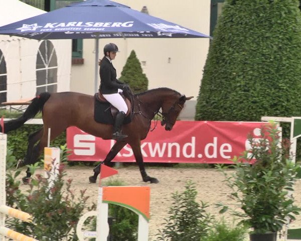 Pferd und Mensch St.Wendel, Gestüt Welvert 2021
