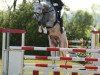 broodmare Coco Chanel 167 (Oldenburg, 2007, from Casco 4)