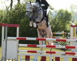 broodmare Coco Chanel 167 (Oldenburg, 2007, from Casco 4)