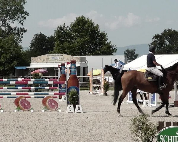 Concours Hippique de Dompierre 2021