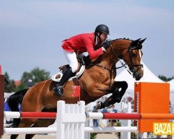 Springpferd Faemes van T Poelzelhof (Belgisches Warmblut, 2005, von Thunder van de Zuuthoeve)