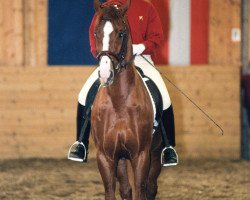 stallion Walk Along (Hanoverian, 1994, from Weltmeyer)