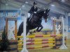 jumper Grace 330 (Hanoverian, 2003, from Goodman)