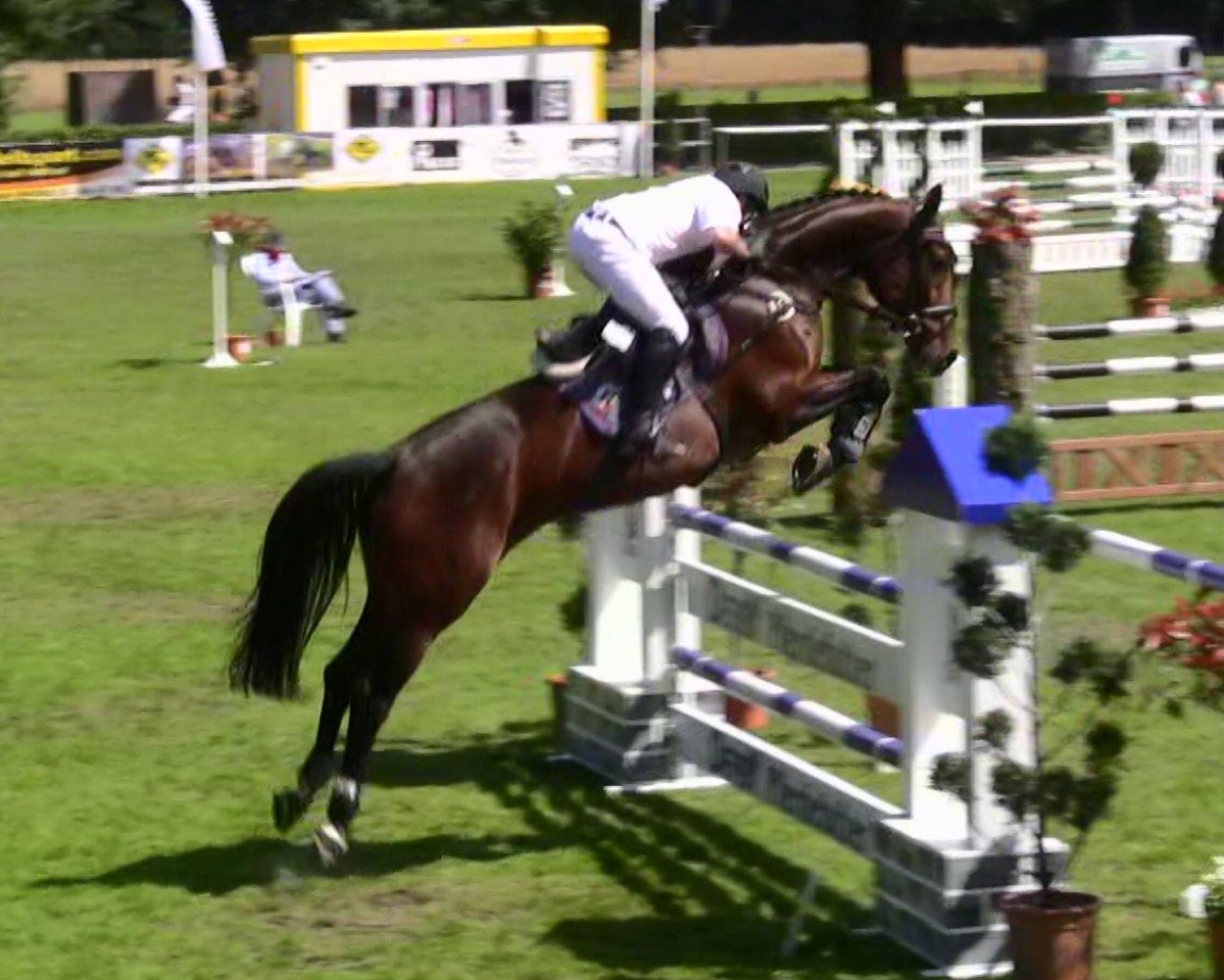 broodmare Lababeluba (Westphalian, 2003, from Lanciano)