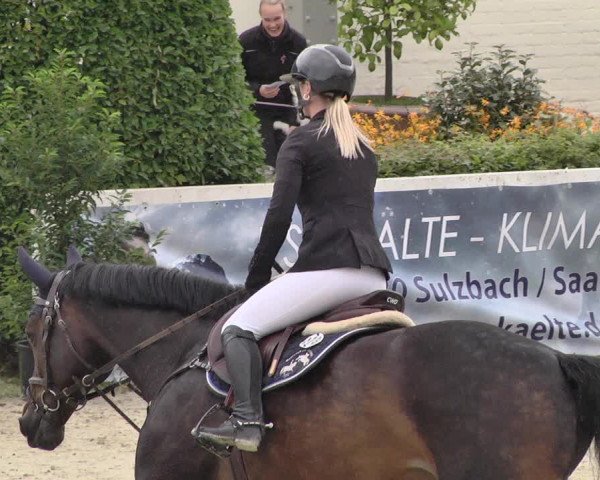 Pferd und Mensch St.Wendel, Gestüt Welvert 2021