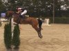 jumper Water Boy (Hanoverian, 2000, from Werther's Erbe)