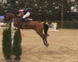 jumper Water Boy (Hanoverian, 2000, from Werther's Erbe)