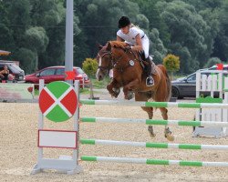 broodmare Gretel (Oldenburg show jumper, 2007, from Cornet's Stern)