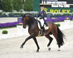 dressage horse Augustin OLD (Oldenburg, 2000, from August der Starke)