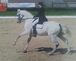 dressage horse Royal Wonder (Westphalian, 1993, from Rubinstein I)