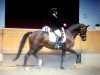 broodmare Esprina de Lux 3 (KWPN (Royal Dutch Sporthorse), 2007, from Sandro Hit)