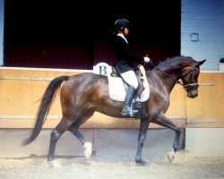 broodmare Esprina de Lux 3 (KWPN (Royal Dutch Sporthorse), 2007, from Sandro Hit)