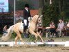 Zuchtstute WES Dondolina (Deutsches Reitpony, 2010, von FS Don't Worry)