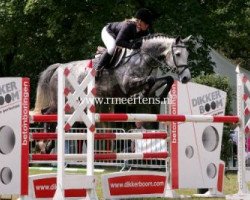 jumper Ali Moon (KWPN (Royal Dutch Sporthorse), 2005, from Utrillo van de Heffinck)