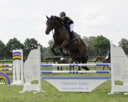 jumper Cachinno (Oldenburg, 2005, from Carry Gold)