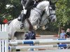 jumper Celine Burme (Hanoverian, 2009, from Cornado NRW)