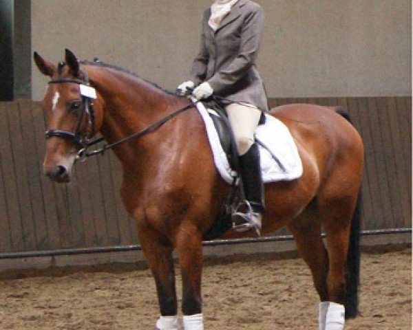 Pferd Aronia (Polnisches Warmblut, 1997, von Burgos)