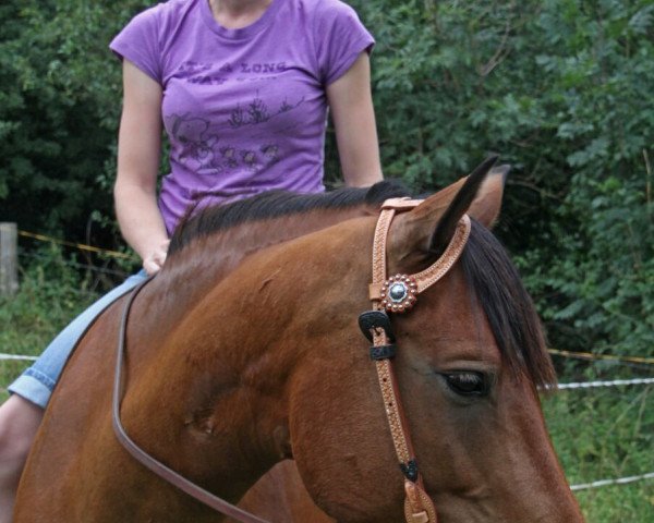 Pferd Flaminca (Deutsches Reitpony, 2010, von New Delight)