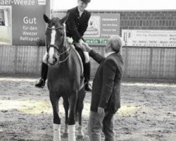 dressage horse Lennox Louis 5 (Rhinelander, 2003, from Lord Loxley I)