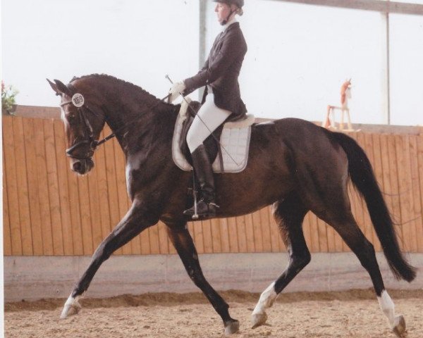 dressage horse Like Diamond (Westphalian, 2008, from Lique de Bryere)