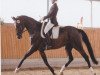 dressage horse Like Diamond (Westphalian, 2008, from Lique de Bryere)