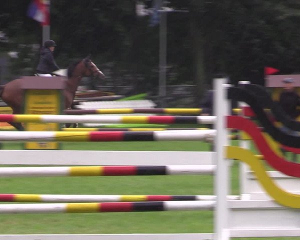 Springturnier Röhrsdorf/ Chemnitz 2021