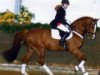 stallion Cadence Z (Hanoverian, 1986, from Cor de la Bryère)