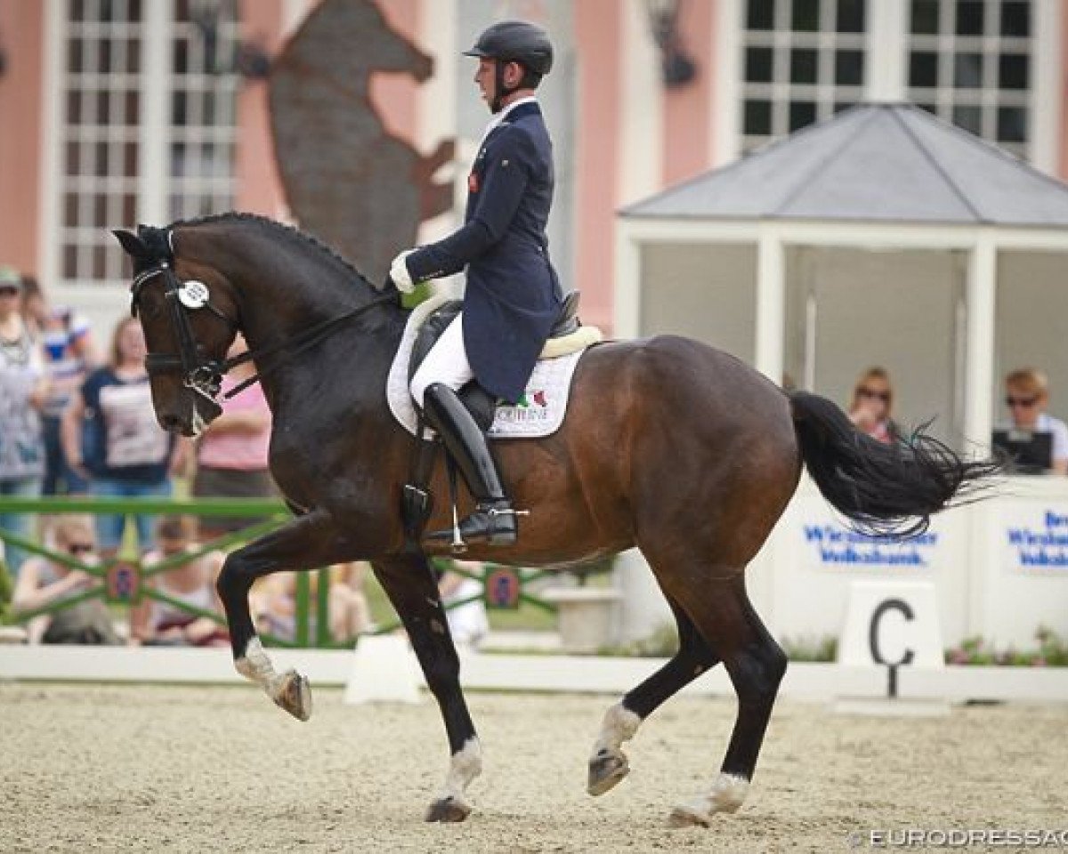 Dressurpferd Fideramber (Westfale, 2000, von Fidermark)