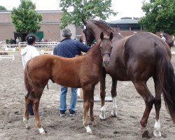 broodmare Antonia K 3 (Rhinelander, 2014, from All At Once)