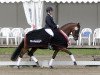 broodmare Daddy's Chanel (German Riding Pony, 2011, from FS Daddy Cool)