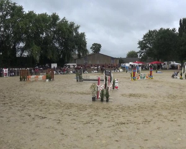 Reitturnier Willich-Anrath-Neersen 2021