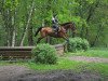 jumper Donelly 2 (Trakehner, 2007, from Connery)