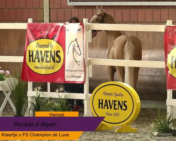 NRW Freispringchampionat
