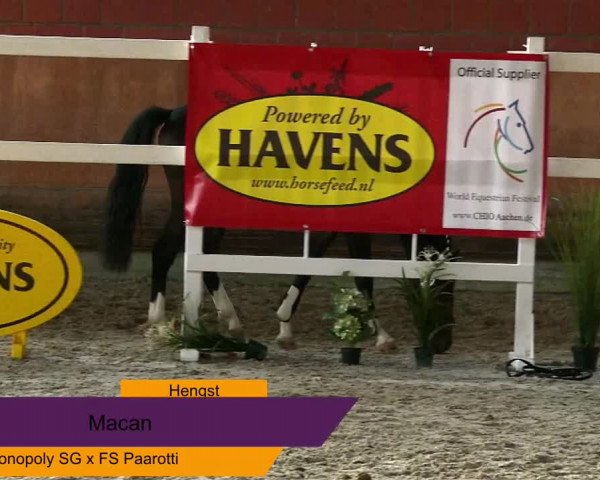 NRW Freispringchampionat