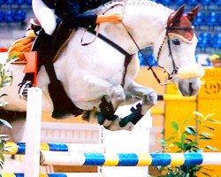 jumper Willow (Hanoverian, 1995, from Wanderer)