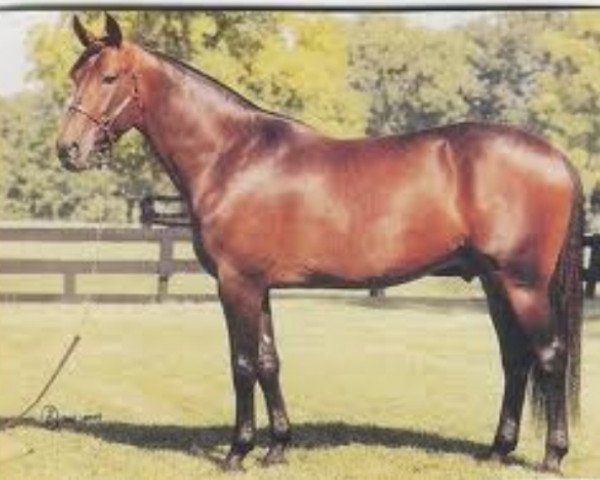 Deckhengst Sir Isaac (US) (Amerikanischer Traber, 1988, von Joie de Vie 7256Y (US))