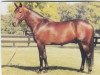 stallion Sir Isaac (US) (American Trotter, 1988, from Joie de Vie 7256Y (US))