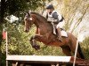 Springpferd Maxima Wsc (Trakehner, 2006, von Summertime)