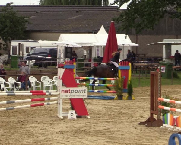 Reitturnier Willich-Anrath-Neersen 2021