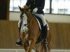 dressage horse Dioleno C (German Riding Pony, 1997, from Dornik B)