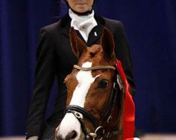 dressage horse Ulfenbach Desiree C (German Riding Pony, 1998, from Dornik B)