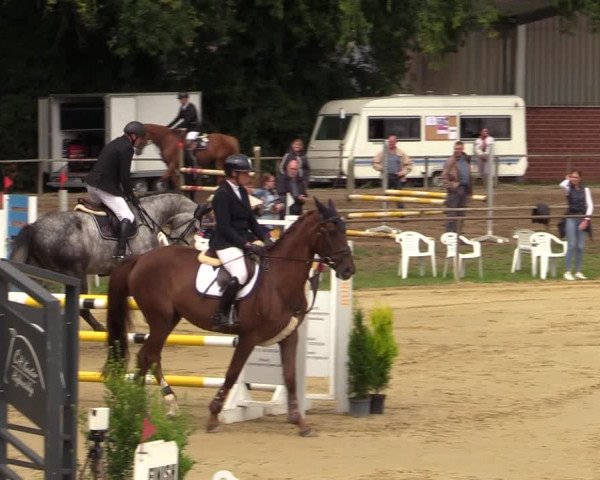 Reitturnier Willich-Anrath-Neersen 2021