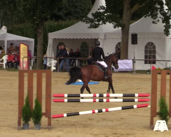 Reitturnier Willich-Anrath-Neersen 2021