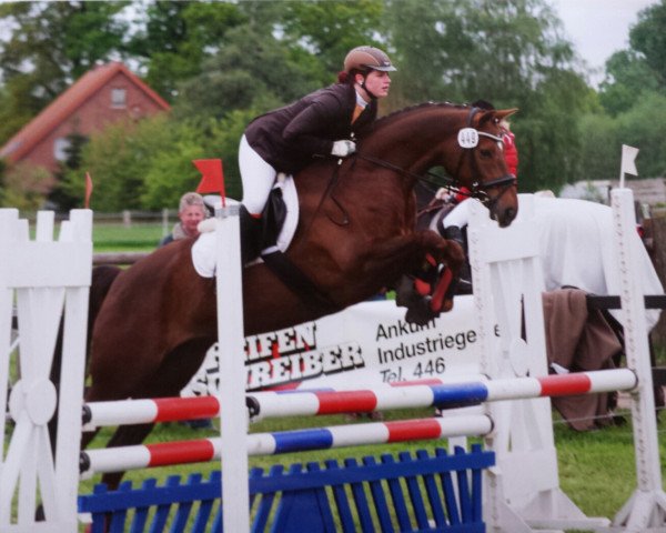 dressage horse Madera 20 (Hanoverian, 2007, from Hochadel)