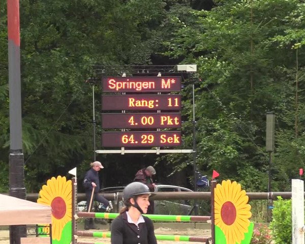 Springturnier Sieversen - Rosengarten 2021