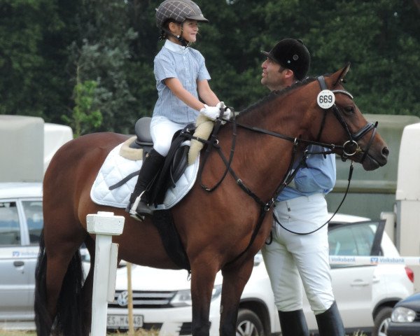 dressage horse Conni (Welsh-Pony (Section B), 2007)