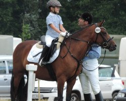 Dressurpferd Conni (Welsh Pony (Sek.B), 2007)