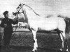 stallion Benderets 1839 (Tersk, 1839)