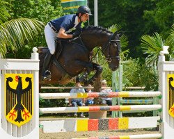 jumper Cordido Burme (Hanoverian, 2009, from Cornado NRW)