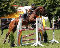 dressage horse Queensberry (Oldenburger, 2007, from Quality 9)